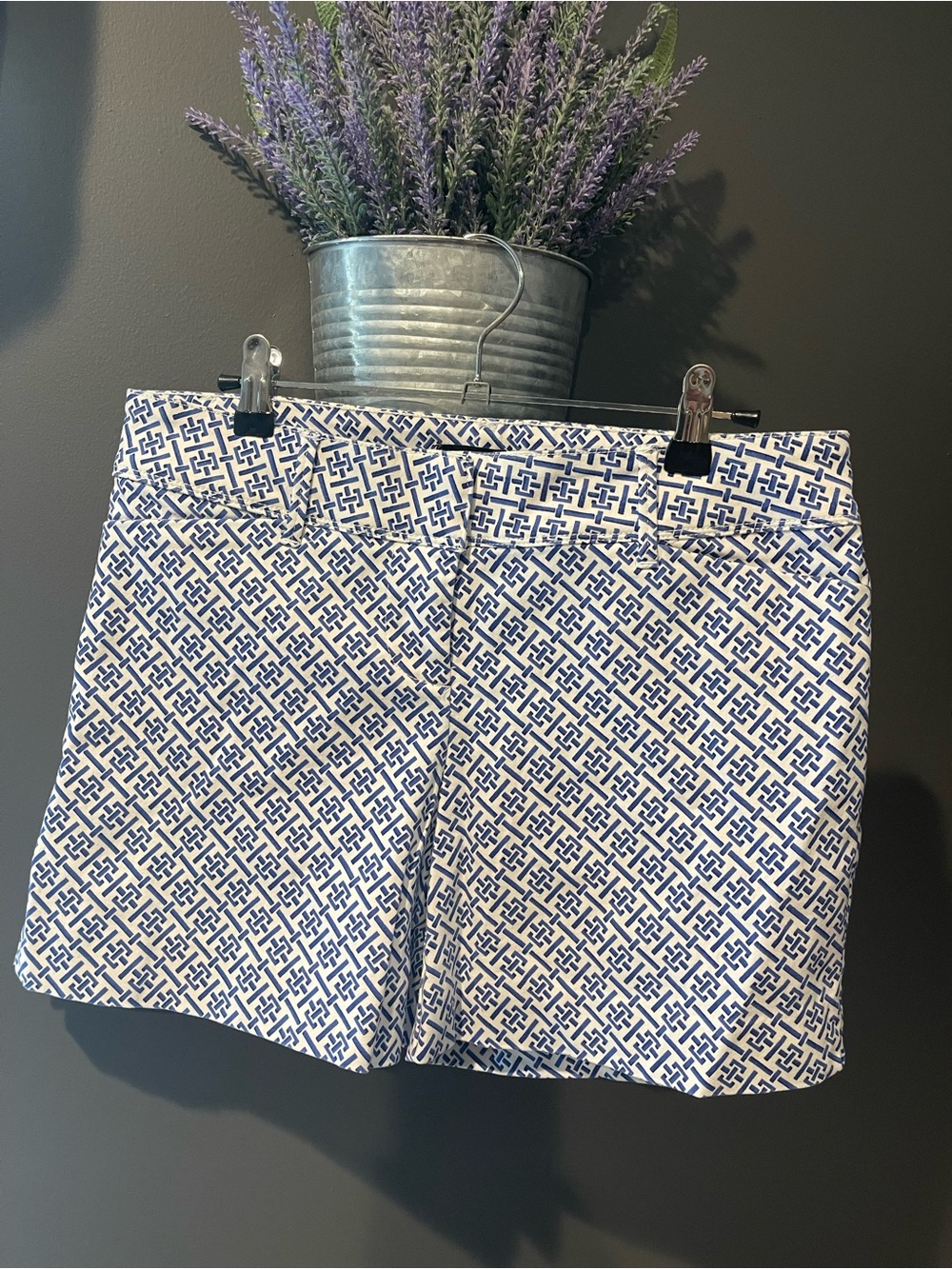 The Limited Women’s Blue Geometric Print Shorts